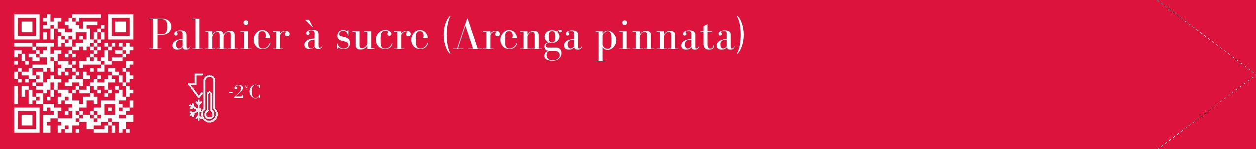 Étiquette de : Arenga pinnata - format c - style blanche36_simple_simplebod avec qrcode et comestibilité