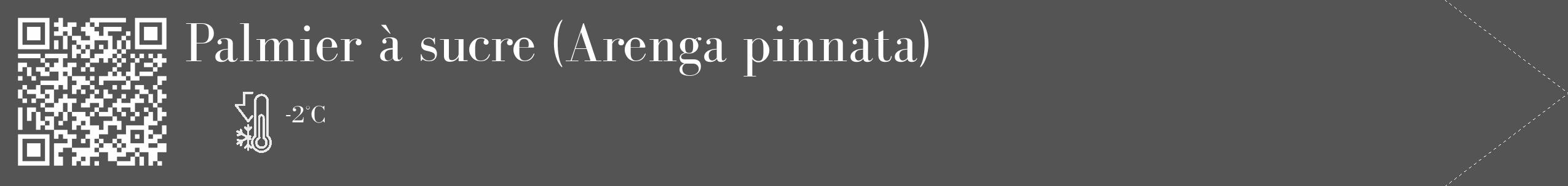 Étiquette de : Arenga pinnata - format c - style blanche36_simple_simplebod avec qrcode et comestibilité