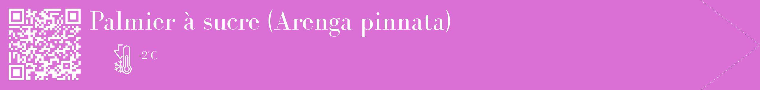 Étiquette de : Arenga pinnata - format c - style blanche52_simple_simplebod avec qrcode et comestibilité