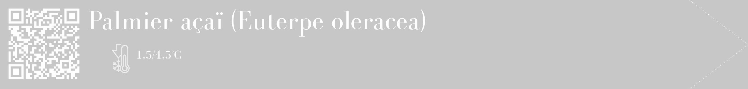 Étiquette de : Euterpe oleracea - format c - style blanche15_simple_simplebod avec qrcode et comestibilité