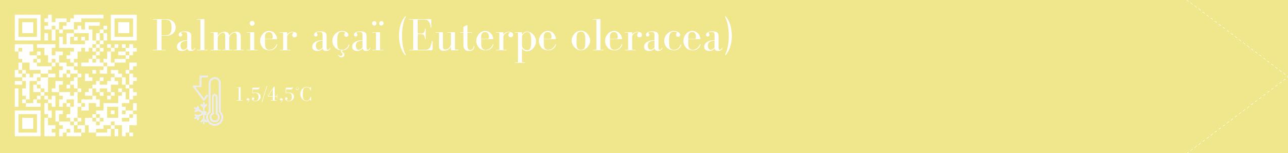 Étiquette de : Euterpe oleracea - format c - style blanche20_simple_simplebod avec qrcode et comestibilité