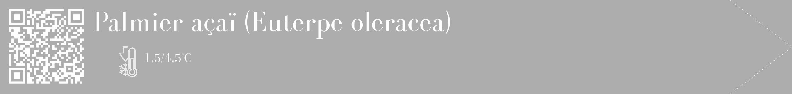 Étiquette de : Euterpe oleracea - format c - style blanche22_simple_simplebod avec qrcode et comestibilité