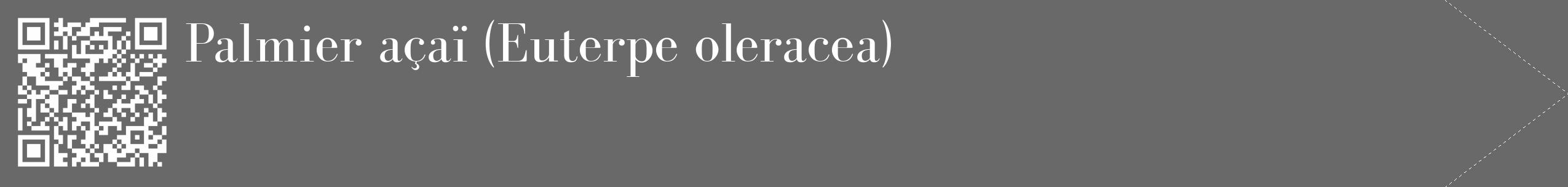 Étiquette de : Euterpe oleracea - format c - style blanche51_simple_simplebod avec qrcode et comestibilité