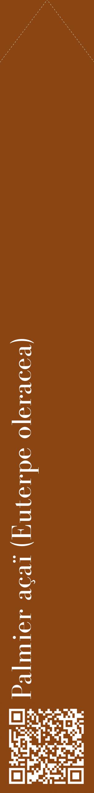 Étiquette de : Euterpe oleracea - format c - style blanche30_simplebod avec qrcode et comestibilité