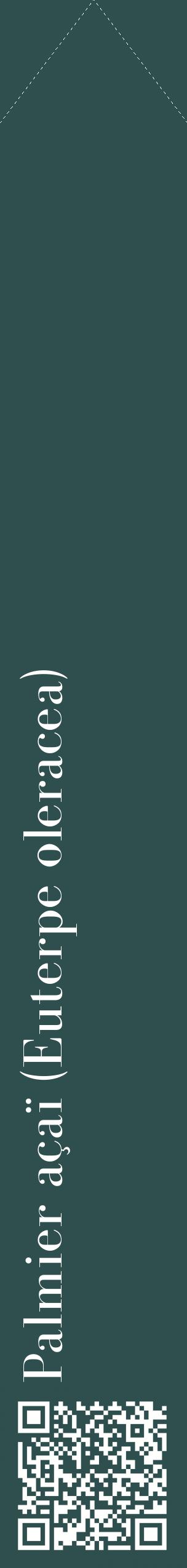 Étiquette de : Euterpe oleracea - format c - style blanche58_simplebod avec qrcode et comestibilité