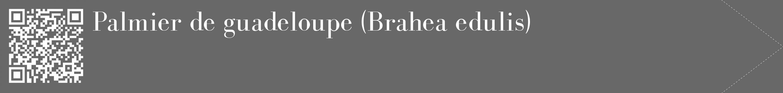 Étiquette de : Brahea edulis - format c - style blanche43_simple_simplebod avec qrcode et comestibilité