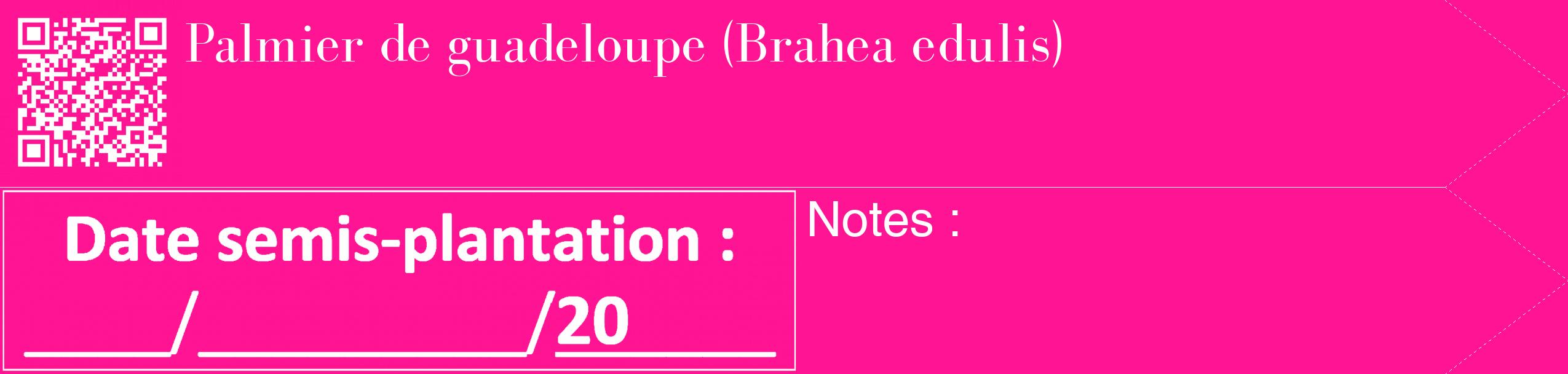 Étiquette de : Brahea edulis - format c - style blanche43_simple_simplebod avec qrcode et comestibilité
