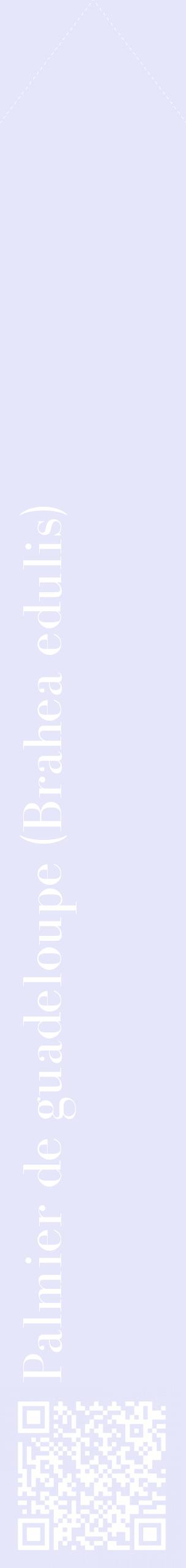 Étiquette de : Brahea edulis - format c - style blanche55_simplebod avec qrcode et comestibilité