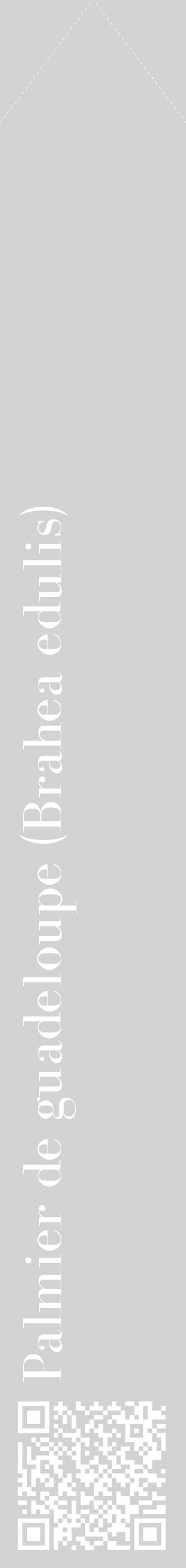 Étiquette de : Brahea edulis - format c - style blanche56_simplebod avec qrcode et comestibilité