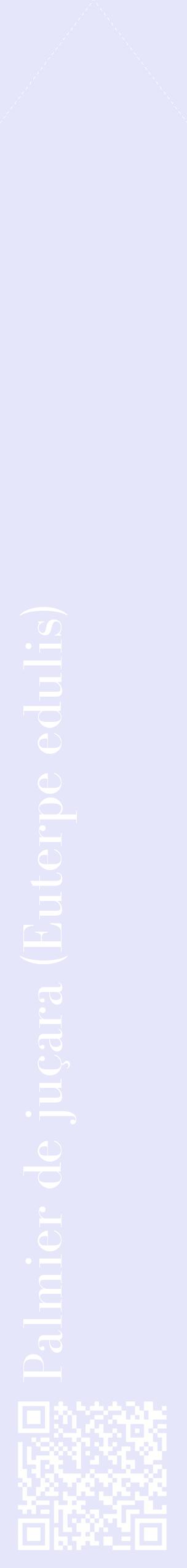 Étiquette de : Euterpe edulis - format c - style blanche55_simplebod avec qrcode et comestibilité