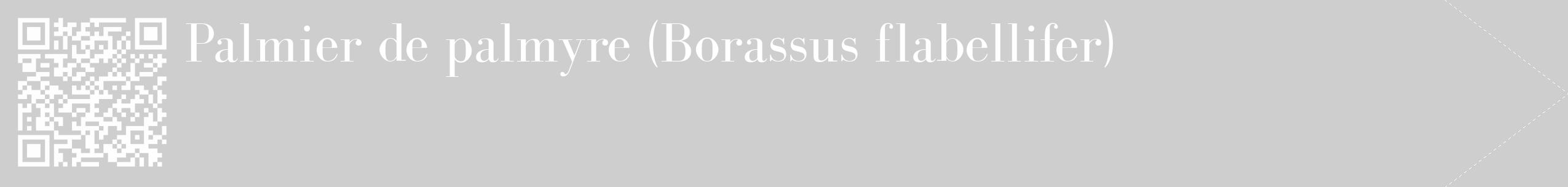 Étiquette de : Borassus flabellifer - format c - style blanche17_simple_simplebod avec qrcode et comestibilité