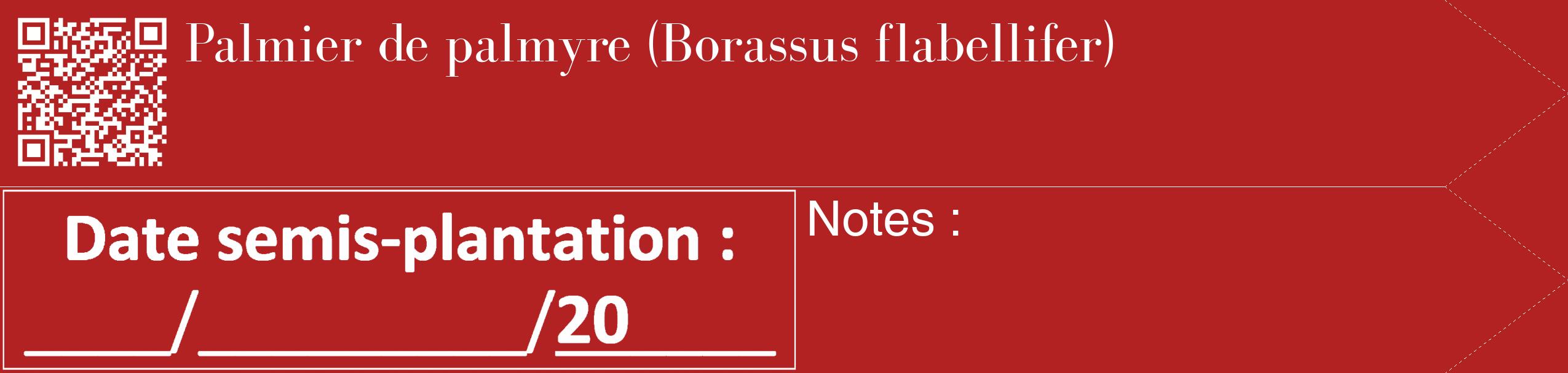 Étiquette de : Borassus flabellifer - format c - style blanche28_simple_simplebod avec qrcode et comestibilité