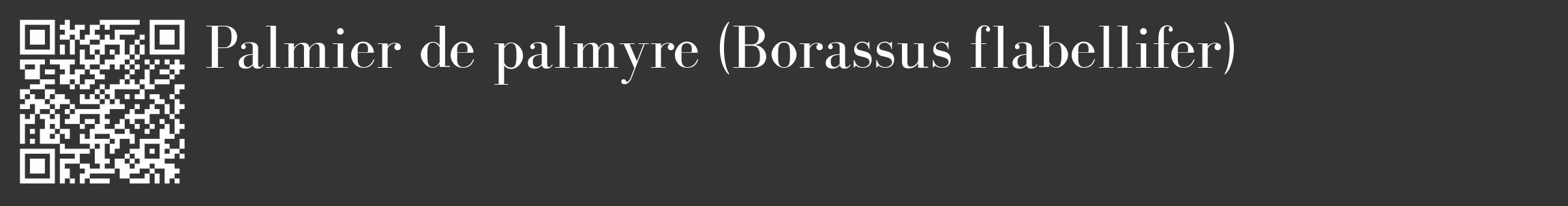 Étiquette de : Borassus flabellifer - format c - style blanche46_basique_basiquebod avec qrcode et comestibilité
