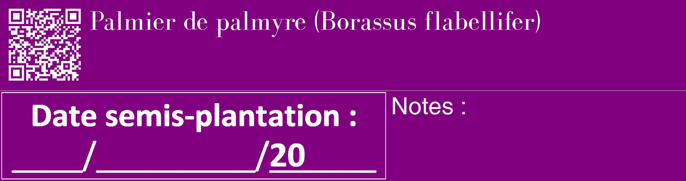 Étiquette de : Borassus flabellifer - format c - style blanche46_basique_basiquebod avec qrcode et comestibilité