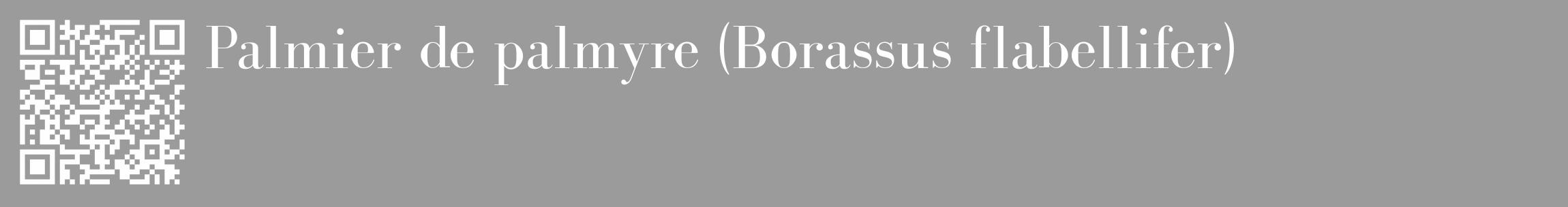 Étiquette de : Borassus flabellifer - format c - style blanche52_basique_basiquebod avec qrcode et comestibilité