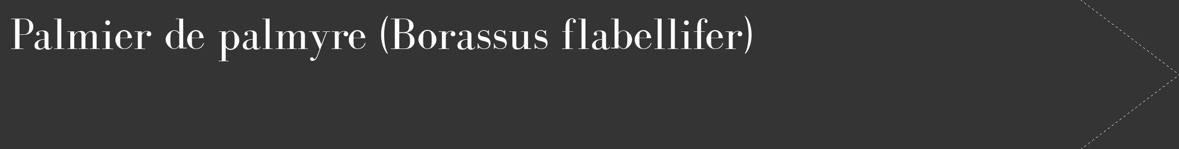 Étiquette de : Borassus flabellifer - format c - style blanche46_simple_simplebod avec comestibilité