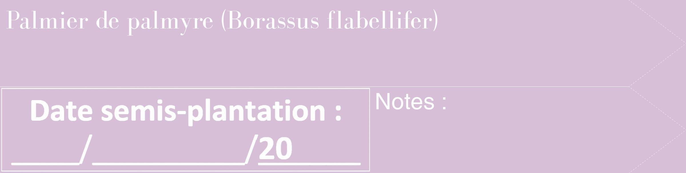Étiquette de : Borassus flabellifer - format c - style blanche54_simple_simplebod avec comestibilité