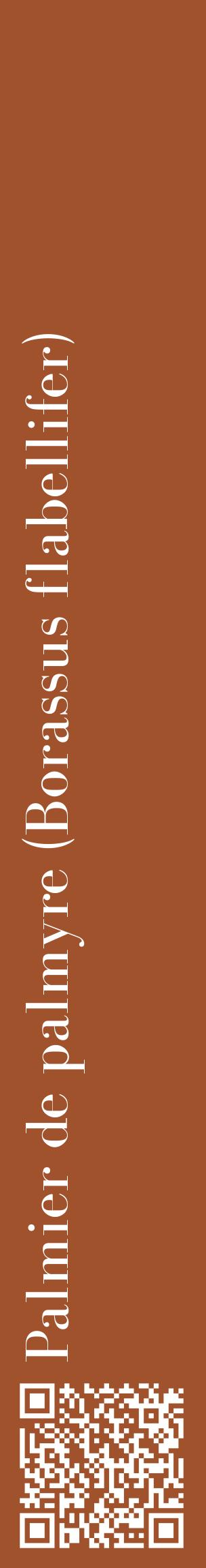 Étiquette de : Borassus flabellifer - format c - style blanche32_basiquebod avec qrcode et comestibilité