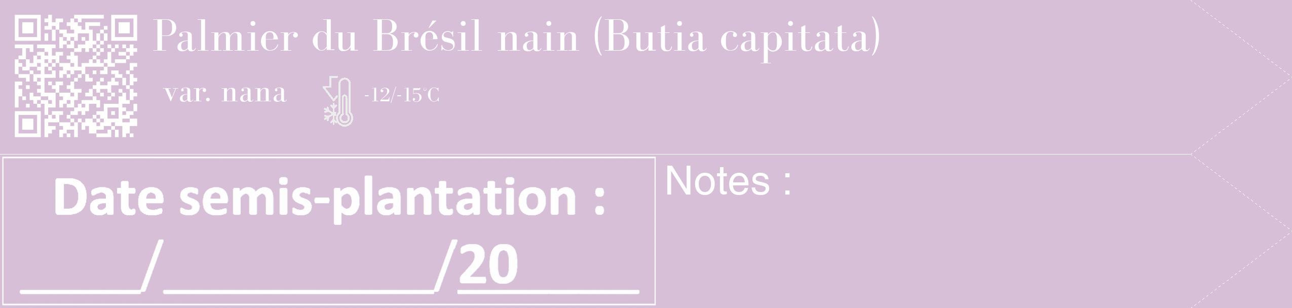 Étiquette de : Butia capitata var. nana - format c - style blanche54_simple_simplebod avec qrcode et comestibilité