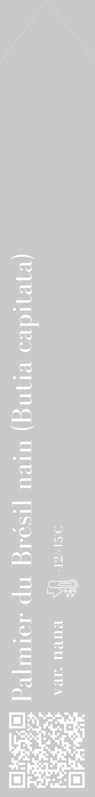 Étiquette de : Butia capitata var. nana - format c - style blanche54_simple_simplebod avec qrcode et comestibilité - position verticale