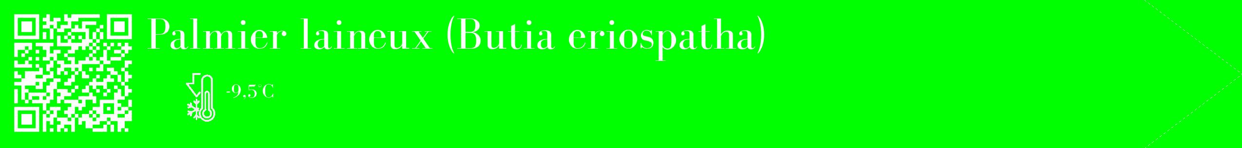 Étiquette de : Butia eriospatha - format c - style blanche16_simple_simplebod avec qrcode et comestibilité