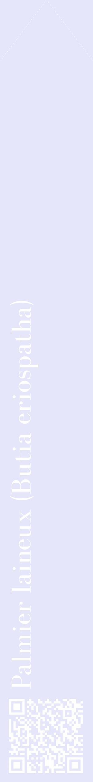 Étiquette de : Butia eriospatha - format c - style blanche55_simplebod avec qrcode et comestibilité