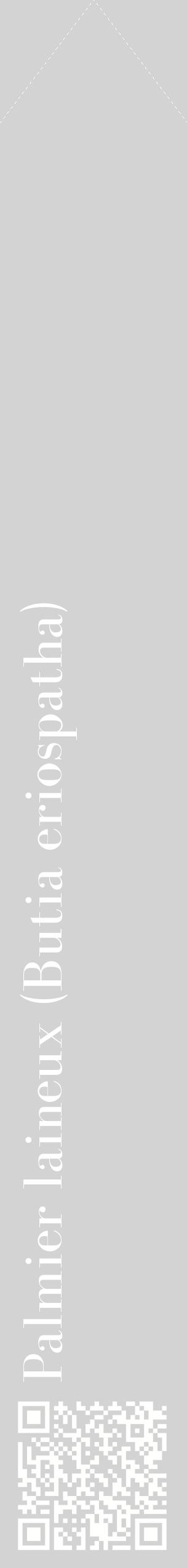 Étiquette de : Butia eriospatha - format c - style blanche56_simplebod avec qrcode et comestibilité