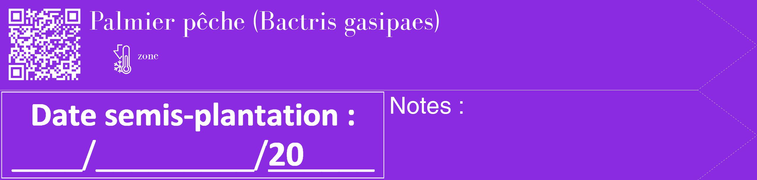 Étiquette de : Bactris gasipaes - format c - style blanche49_simple_simplebod avec qrcode et comestibilité