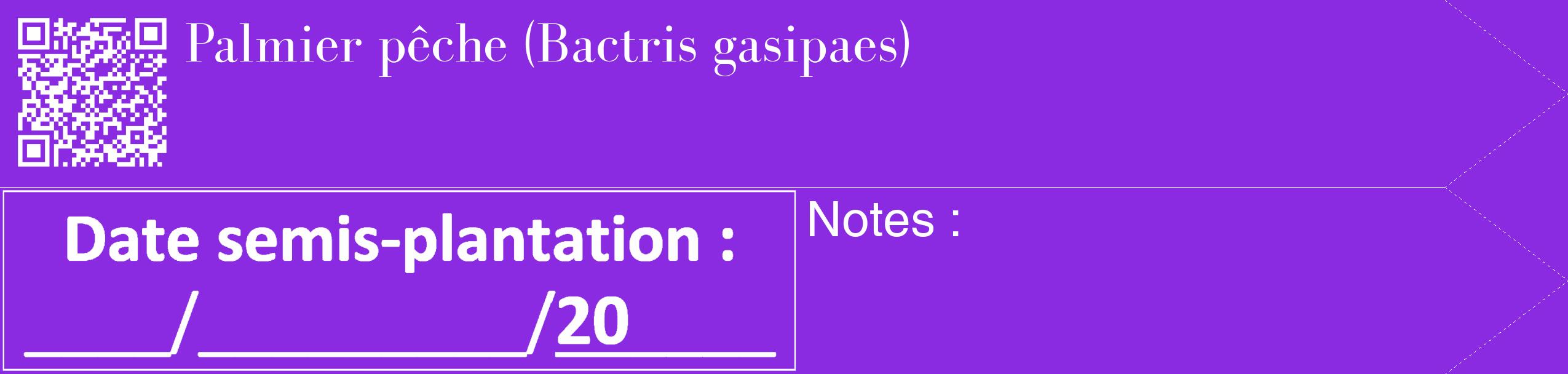 Étiquette de : Bactris gasipaes - format c - style blanche49_simple_simplebod avec qrcode et comestibilité
