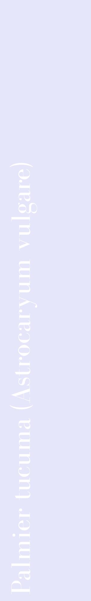 Étiquette de : Astrocaryum vulgare - format c - style blanche55_basiquebod avec comestibilité