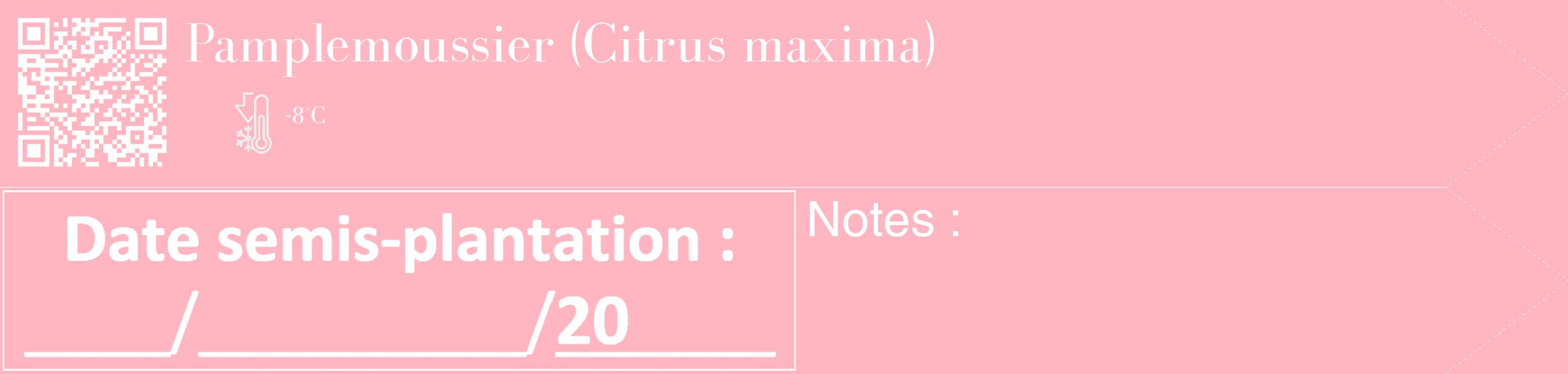Étiquette de : Citrus maxima - format c - style blanche41_simple_simplebod avec qrcode et comestibilité