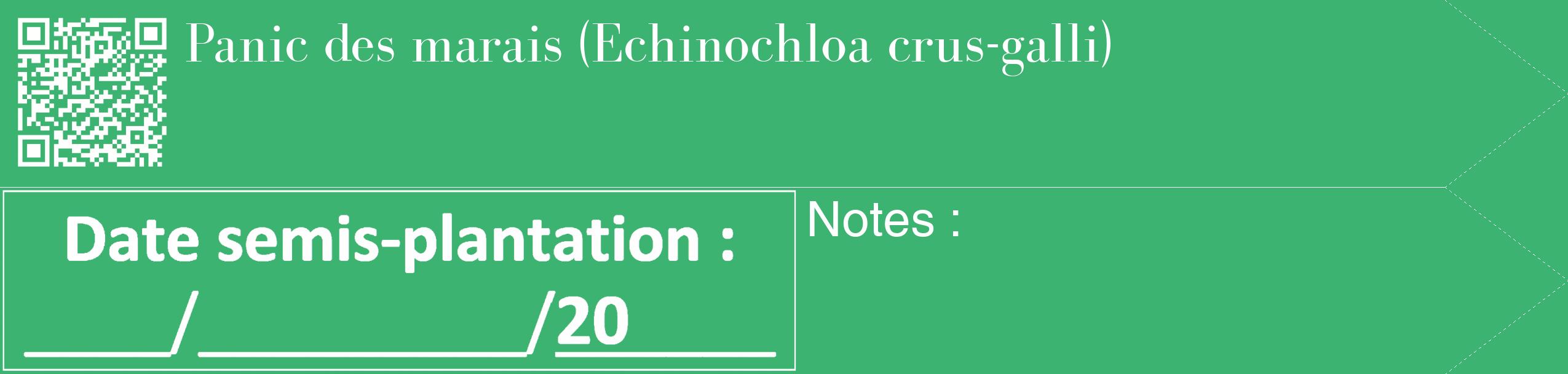 Étiquette de : Echinochloa crus-galli - format c - style blanche12_simple_simplebod avec qrcode et comestibilité