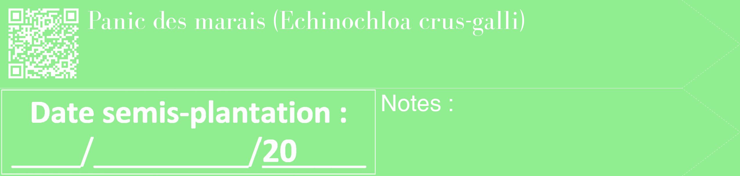 Étiquette de : Echinochloa crus-galli - format c - style blanche15_simple_simplebod avec qrcode et comestibilité