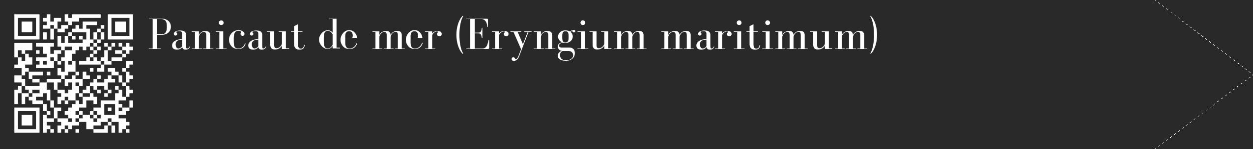 Étiquette de : Eryngium maritimum - format c - style blanche34_simple_simplebod avec qrcode et comestibilité
