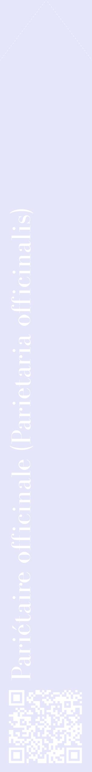 Étiquette de : Parietaria officinalis - format c - style blanche55_simplebod avec qrcode et comestibilité