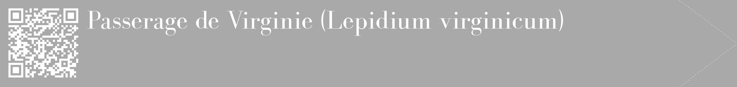 Étiquette de : Lepidium virginicum - format c - style blanche13_simple_simplebod avec qrcode et comestibilité