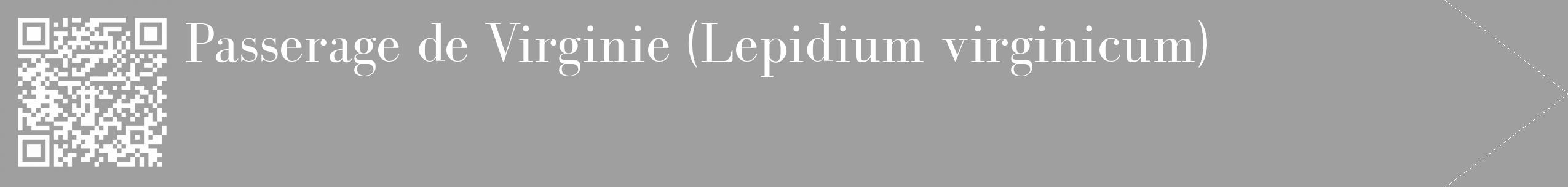 Étiquette de : Lepidium virginicum - format c - style blanche24_simple_simplebod avec qrcode et comestibilité