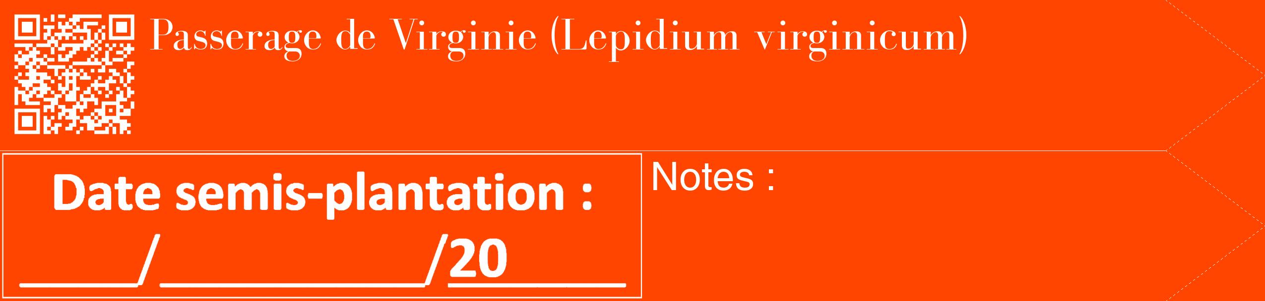 Étiquette de : Lepidium virginicum - format c - style blanche26_simple_simplebod avec qrcode et comestibilité