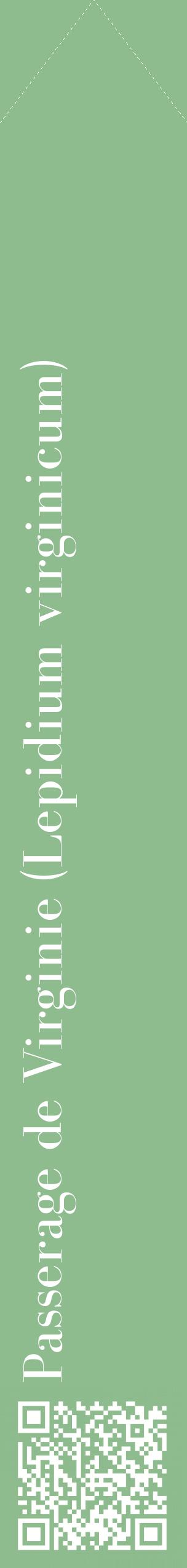 Étiquette de : Lepidium virginicum - format c - style blanche13_simplebod avec qrcode et comestibilité