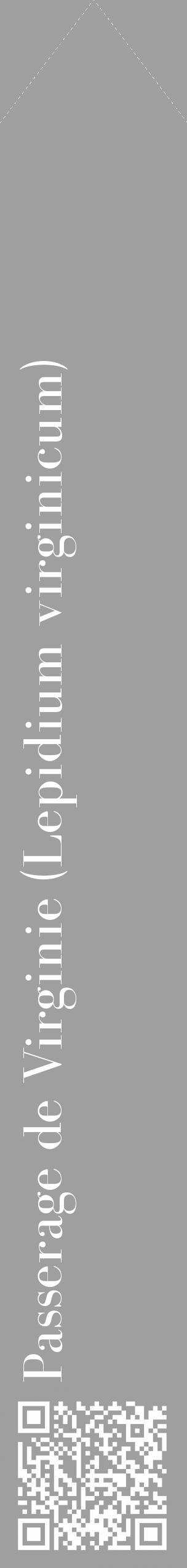 Étiquette de : Lepidium virginicum - format c - style blanche24_simple_simplebod avec qrcode et comestibilité - position verticale
