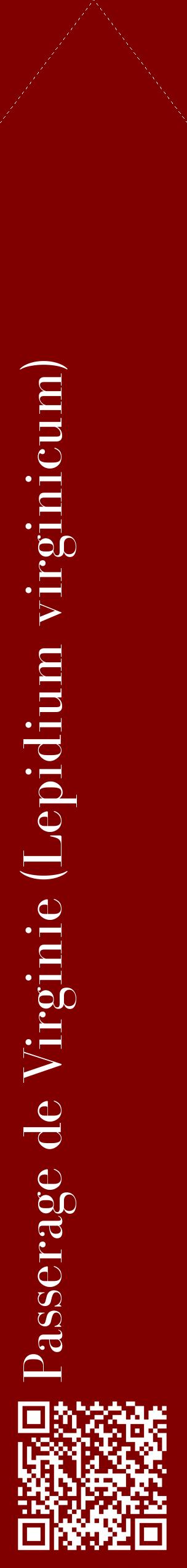 Étiquette de : Lepidium virginicum - format c - style blanche29_simplebod avec qrcode et comestibilité