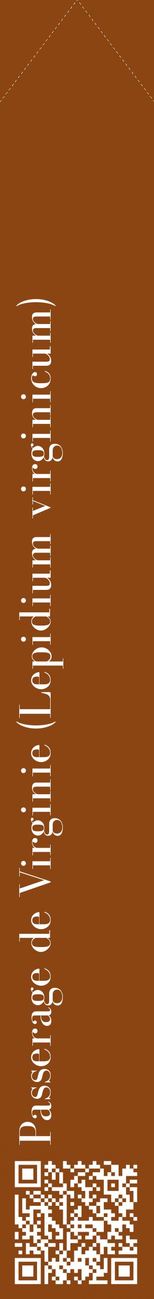 Étiquette de : Lepidium virginicum - format c - style blanche30_simplebod avec qrcode et comestibilité