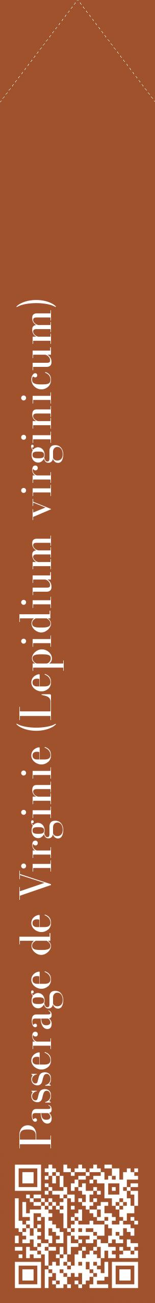 Étiquette de : Lepidium virginicum - format c - style blanche32_simplebod avec qrcode et comestibilité
