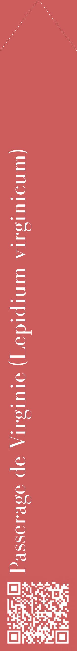 Étiquette de : Lepidium virginicum - format c - style blanche35_simplebod avec qrcode et comestibilité