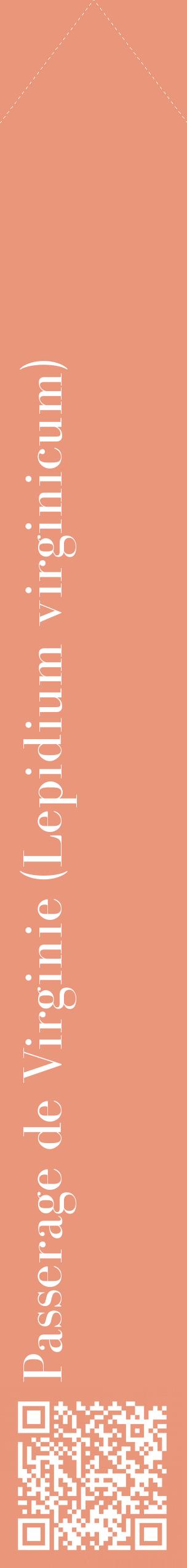 Étiquette de : Lepidium virginicum - format c - style blanche37_simplebod avec qrcode et comestibilité