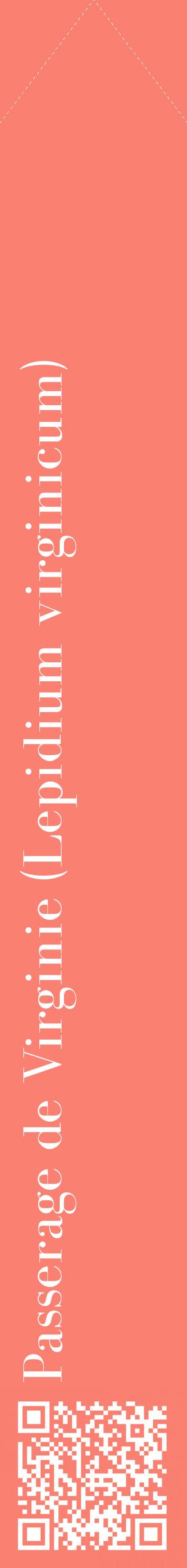 Étiquette de : Lepidium virginicum - format c - style blanche38_simplebod avec qrcode et comestibilité