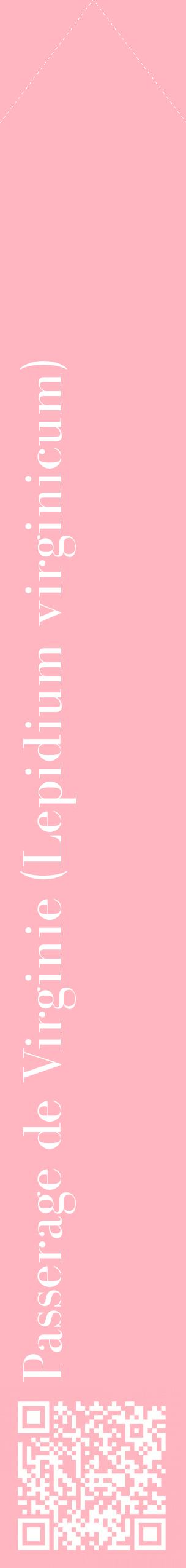 Étiquette de : Lepidium virginicum - format c - style blanche41_simplebod avec qrcode et comestibilité