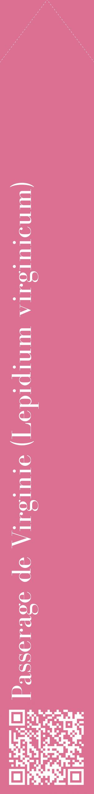 Étiquette de : Lepidium virginicum - format c - style blanche44_simplebod avec qrcode et comestibilité