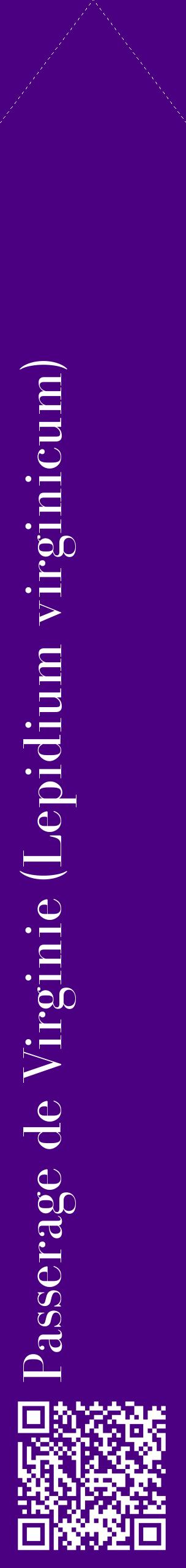 Étiquette de : Lepidium virginicum - format c - style blanche47_simplebod avec qrcode et comestibilité