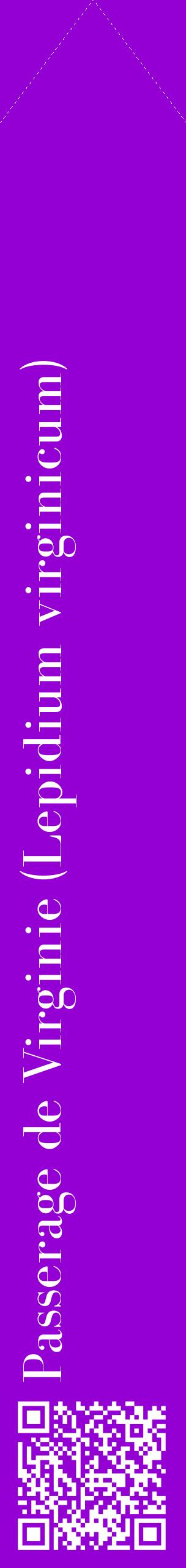 Étiquette de : Lepidium virginicum - format c - style blanche48_simplebod avec qrcode et comestibilité